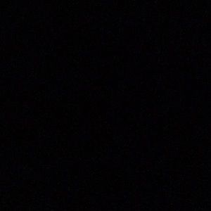 Meet your Posher, Rose